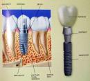 Стоматологический кабинет "DentArt", Лисичанск