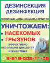ООО "Росдезпотреб", Владимир