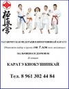 ТАГАНРОГСКАЯ ФЕДЕРАЦИЯ КИОКУШИНКАЙ КАРАТЭ, Шахты