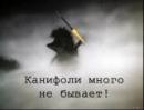 ип Кучеренко Сергей Игоревич, Кобрин