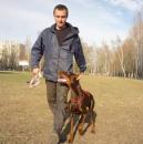 Дрессировка собак в Тольятти., Вольск