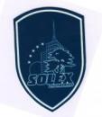 Solex Ingineering