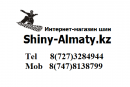 Шины Алматы, Алматы