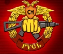 ООО ЧОП Стандарт безопасности, Одинцово