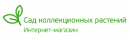Интернет-магазин саженцев "Сад коллекционных растений"