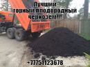 ИП Нурдос, Талдыкорган
