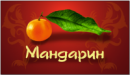 Мандарин, Россия