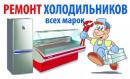 РЕМОНТ ХОЛОДИЛЬНИКОВ И МОРОЗИЛЬНИКОВ, Витебск