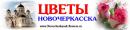 «ЦВЕТЫ»., Элиста