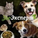 Интернет-магазин «ZooExpert24.ru»