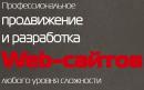 ООО Разработка сайтов, Нефтекамск