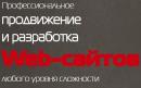 ООО Разработка сайтов, Уфа