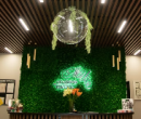Trendy barber shop, Rossosh