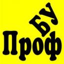 Профессиональные Бухгалтерские Услуги, Москва