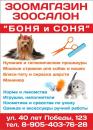 Зоосалон и Зоомагазин "Боня и Соня"
