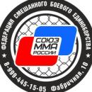 федерация смешанных боевых единоборств, Лесосибирск