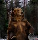 bear-man, Караганда