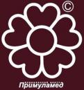 Медицинский центр "Примуламед" в Копейске (ООО "Инфопланета"), Лесной