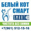 Белый кот Смарт, Пятигорск