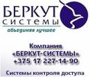 Беркут-системы, Борисов