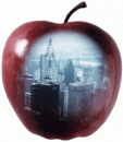 Языковой центр "The Big Apple", Семей