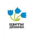 Дискаунтер &quot;Цветы Дёшево&quot;