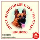 Дрессировочный клуб "Мухтар", Александров
