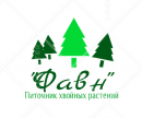 "Фавн", Тихвин