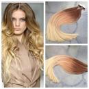 Golden Hair Company, Балхаш