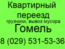 ЧП Большие гонки, Молодечно