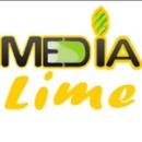 Маркетинговое интернет-агентство MediaLime, Жлобин