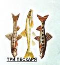 ТРИ ПЕСКАРЯ, Степногорск