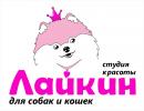 Профессиональная стрижка собак и кошек в салоне Лайкин