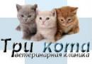 Ветеринарный кабинет Три кота, Москва