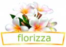 Интернет-магазин Florizza