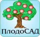 Интернет-магазин саженцев плодовых деревьев «ПлодоСАД»