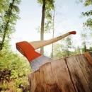 ООО "ЭКОСПИЛ", Балахна