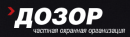 Дозор, Кинешма