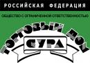 Торговый Дом "Сура", Пенза