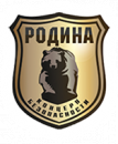 Концерн безопасности Родина