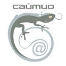 Web-студия Сайтио, Санкт-Петербург