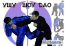 Спортивно-оздоровительный клуб "Шоу-Дао", Иркутск