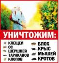 Дезис Москва, Москва