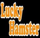 Интернет-магазин "зоомагазин Lucky Hamster"