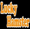 зоомагазин Lucky Hamster, Салават