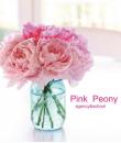 Pink Peony agency & school