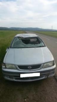 Nissan Sunny