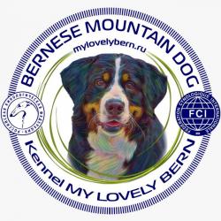 Питомник бернских зенненхундов "MY LOVELY BERN"