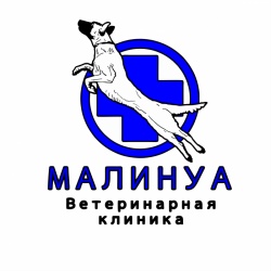 Прием ветеринарного врача кошек и собак