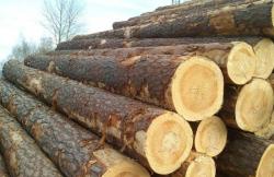 Лес кругляк на распиловку от 18 см